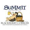  Blackberry Cobbler